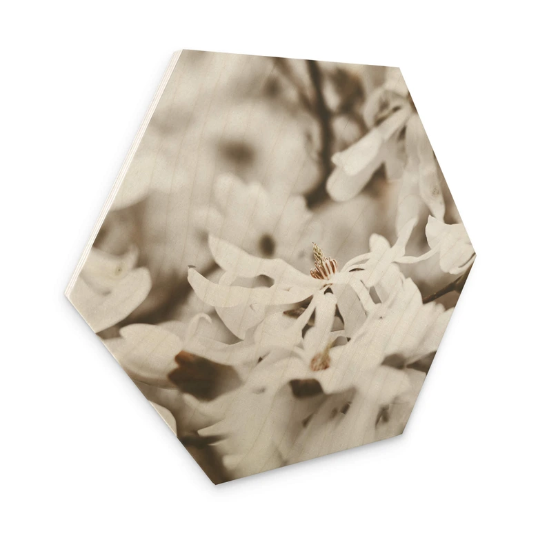 Hexagon - Holz Annie - Jasmin 