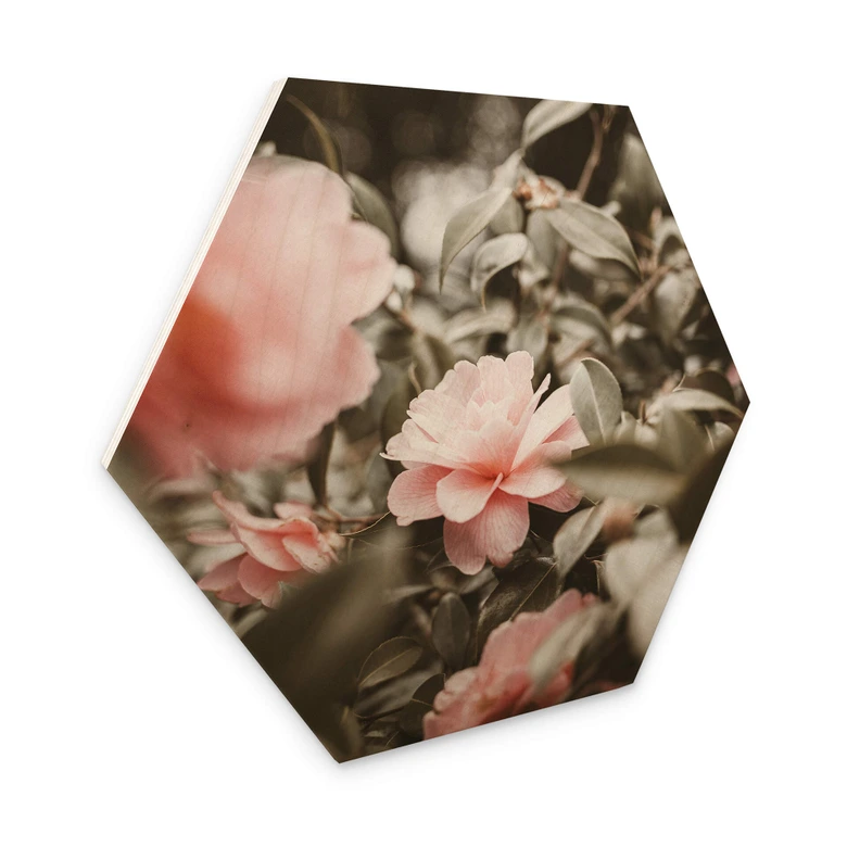 Hexagon - Holz Annie - Rosenblüte 