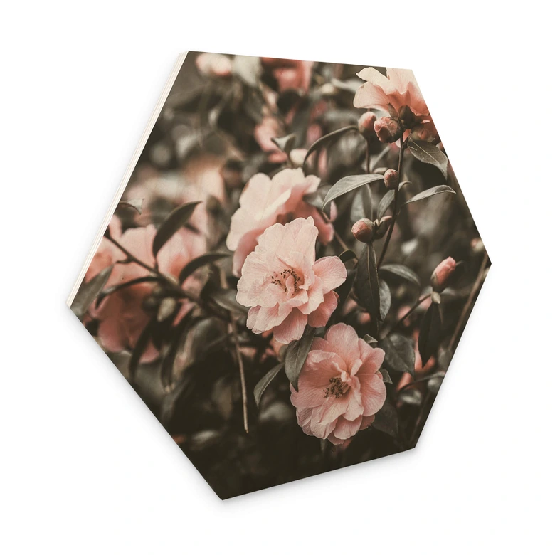 Hexagon - Holz Annie - Rosenstrauch 