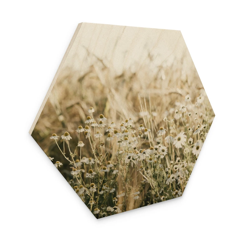 Hexagon Holzbild Sommerwiese mit Kamille - Annie 