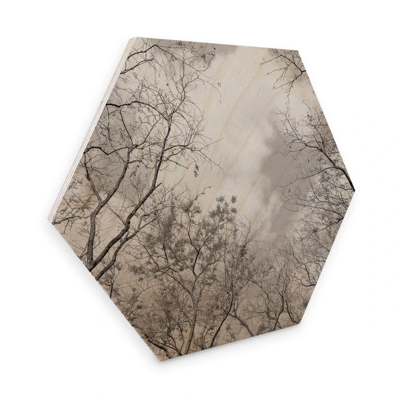 Hexagon - Holz Baumkronen im Himmel 