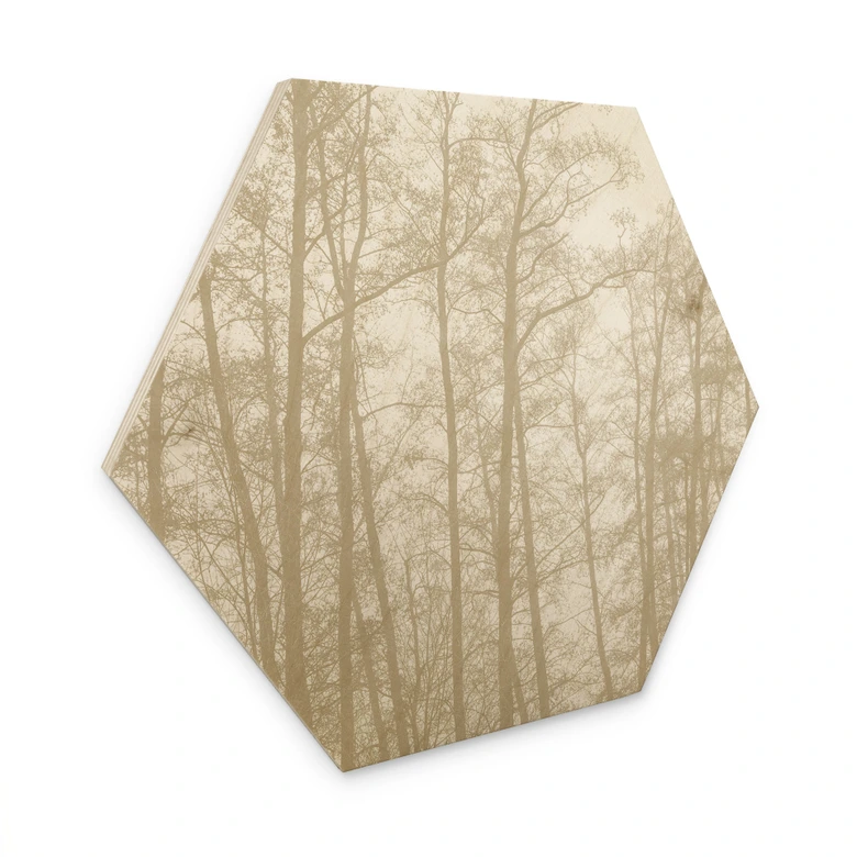 Houten Wanddecoratie zeshoekig stil winterbos - Böhmer 