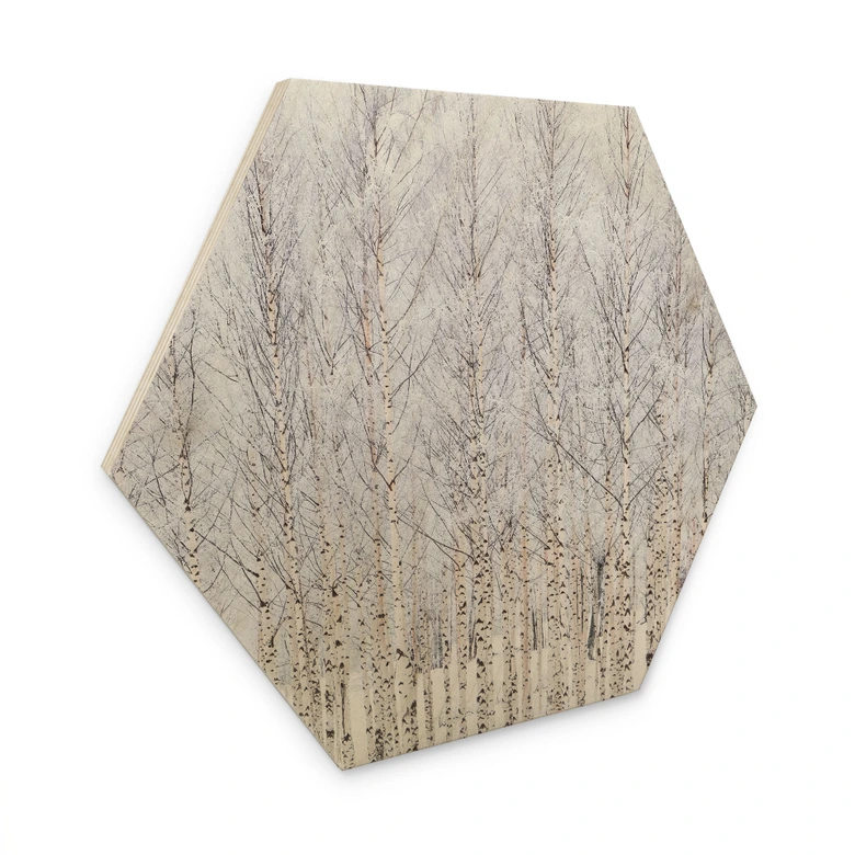 Houten Wanddecoratie berkenbos in winter - EMELIEmaria 