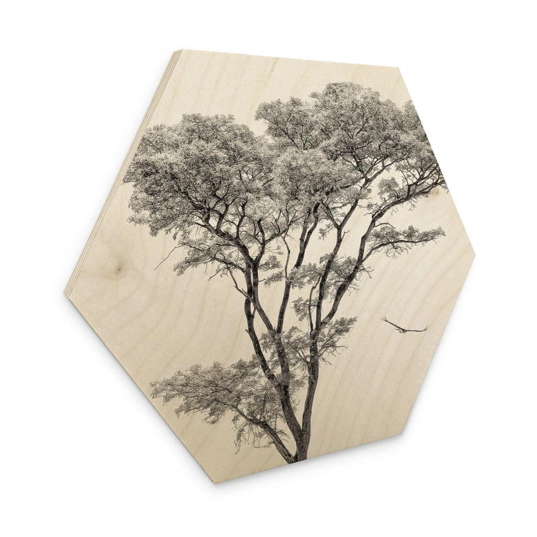 Hexagon Holzbild Minimalistischer Baum in ruhiger Landschaft - Flour 