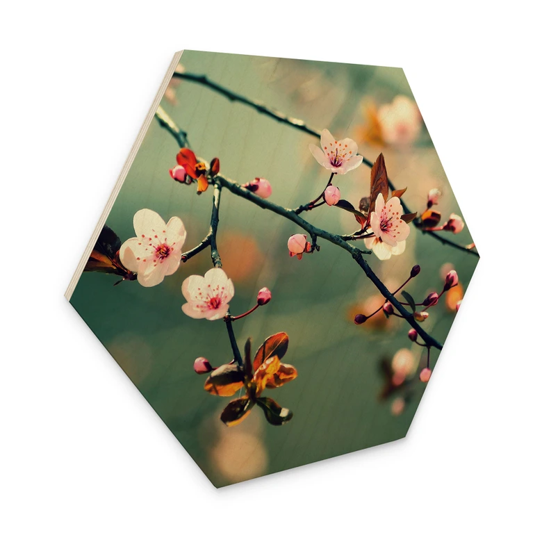 Houten Wanddecoratie zeshoek lente ontwaken 