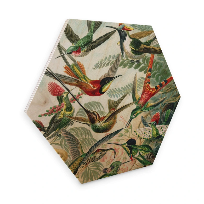 Hexagon - Holz Haeckel - Kolibris 
