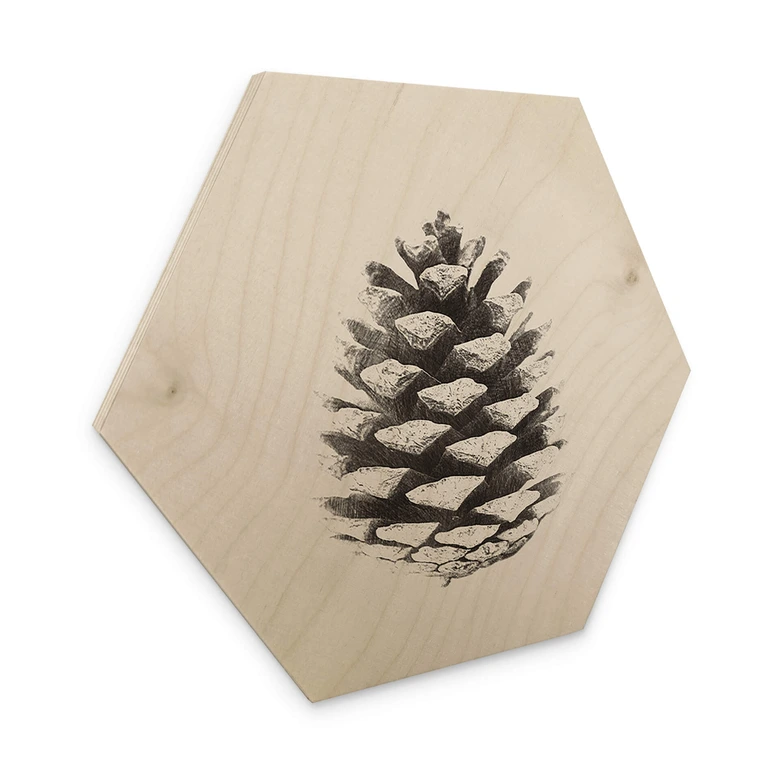 Hexagon - Holz Kiefernzapfen 