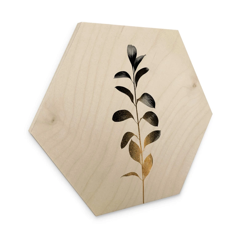 Hexagon - Holz Kubistika - Monochromatica 