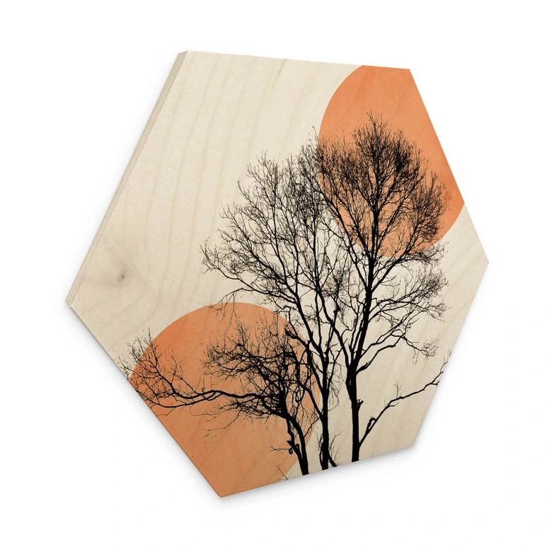 Hexagon Hout Zon en maan in oranje - Kubistika 