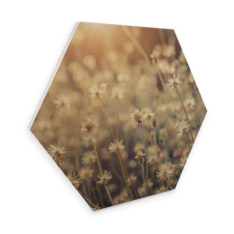 Hexagon - Holz Mexican Daisy 