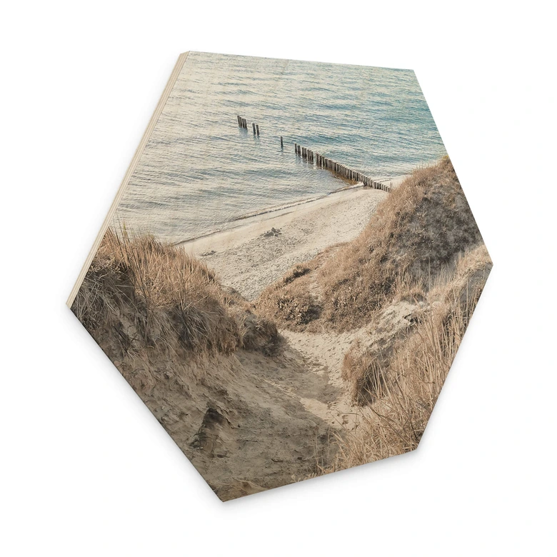 Hexagon Holzbild Naturerlebnis in malerischen Ostseedünen 