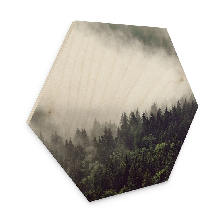 Hexagon - Holz Nebel im Wald 02 