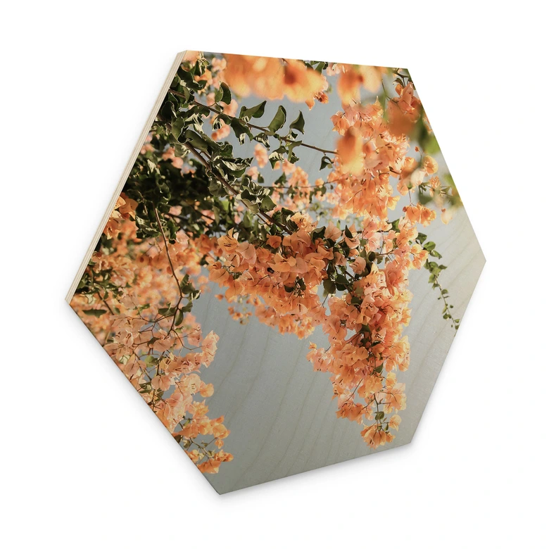Hexagon Holzbild Pfirsichfarbene Blüten in Assos - Shot by Clint 
