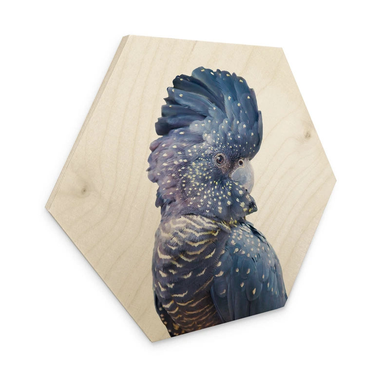 Hexagon - Holz Birke-Furnier - Sisi & Seb - Blauer Kakadu 