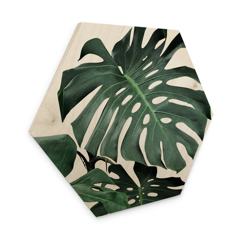 Hexagon - Holz Sisi & Seb - Monstera 