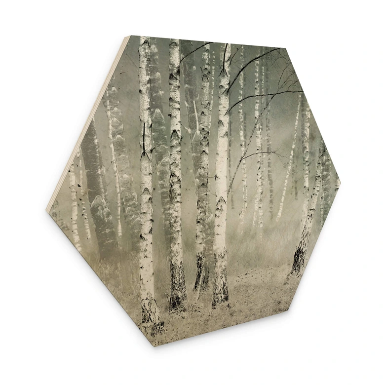 Hexagon - Holz Talen - Morgenruhe 