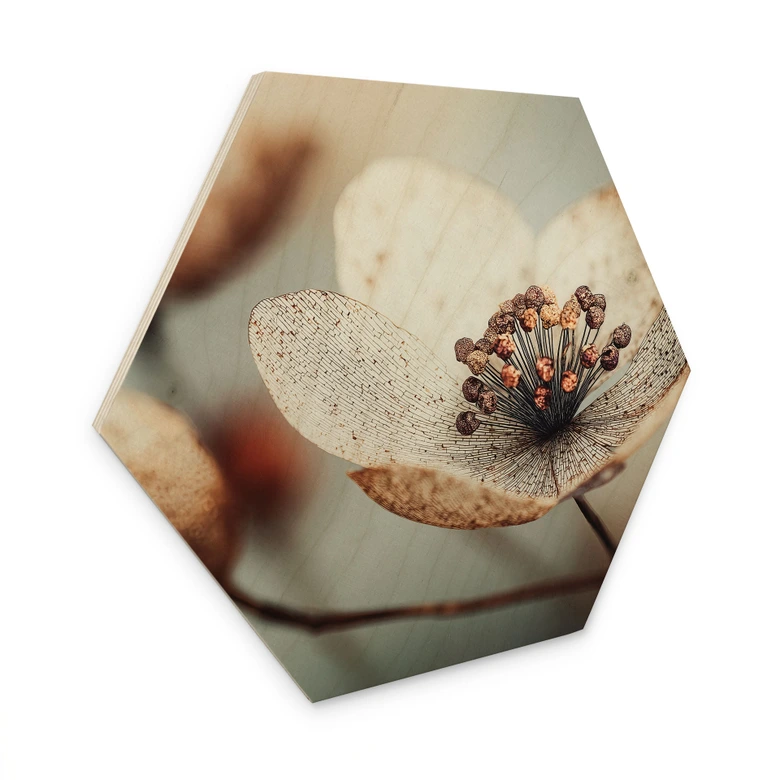 Hexagon Holzbild Boho Trockenblume Makro - Treechild 