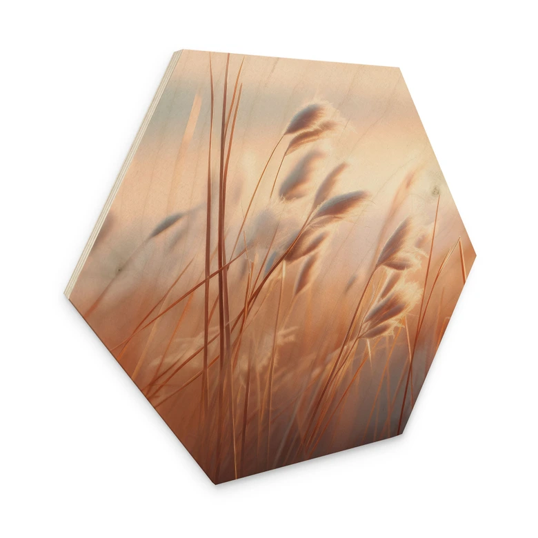 Hexagon Holzbild Dünengras in der Abendsonne - Treechild 