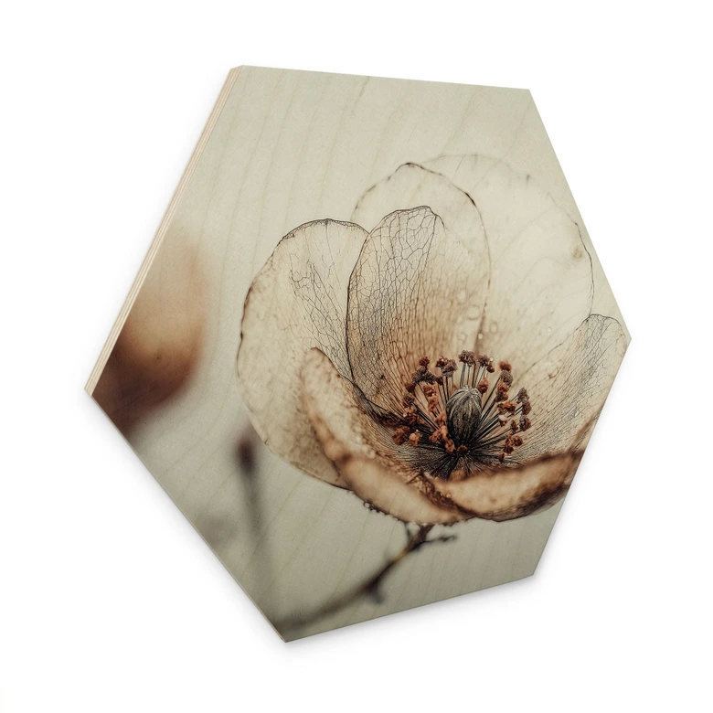 Houten Wanddecoratie droge bloesem beige natuur poëzie - Treechild 