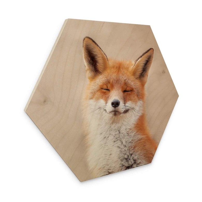 Hexagon - Holz van Duijn - Zufriedener Fuchs 