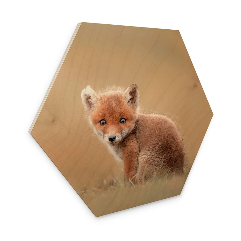 Hexagon - Holz van Duijn - Baby Fuchs 