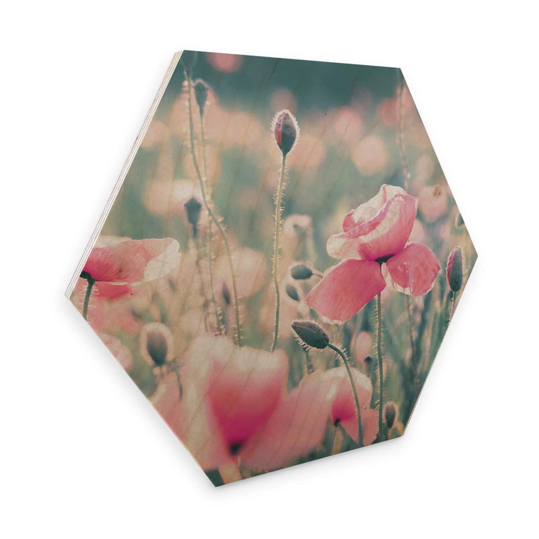 Hexagon - Holz Birke-Furnier Delgado - Mohnblumenmomente 