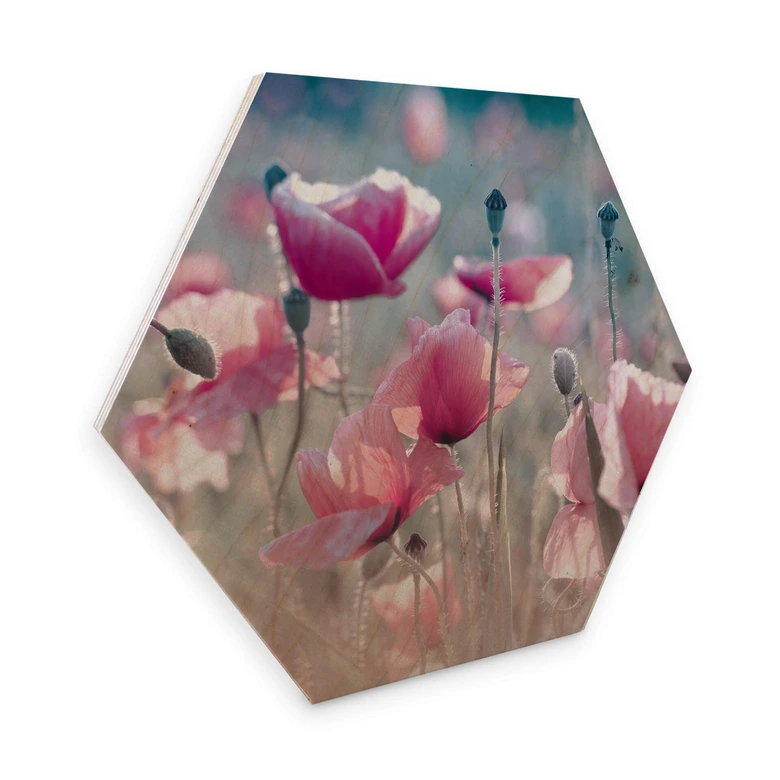 Hexagon - Holz Birke-Furnier Delgado - Mohnblumenwiese 