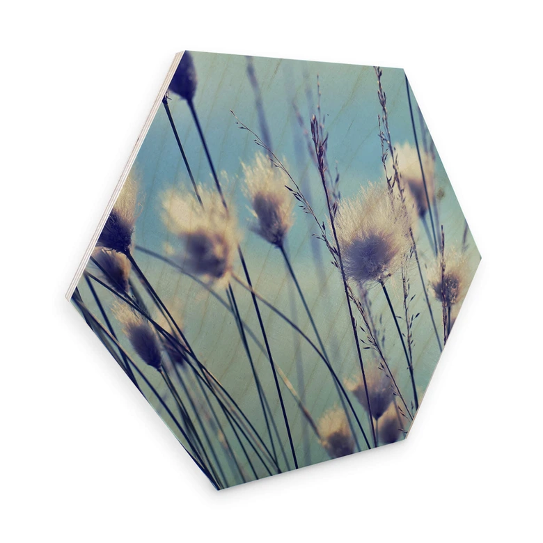 Hexagon - Holz Birke-Furnier Delgado - Wind im Gras 