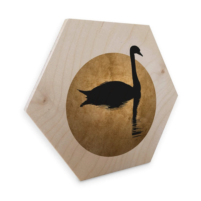 Hexagon - Holz Birke-Furnier Kubistika - Schwanensee im Vollmond 