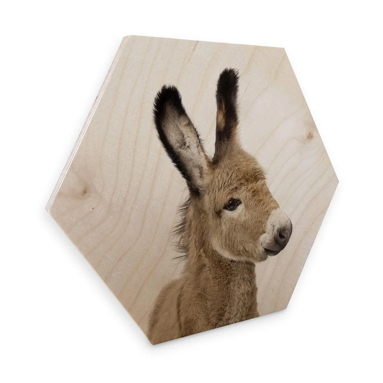 Hexagon - Holz Birke-Furnier Sisi & Seb - Baby Esel 