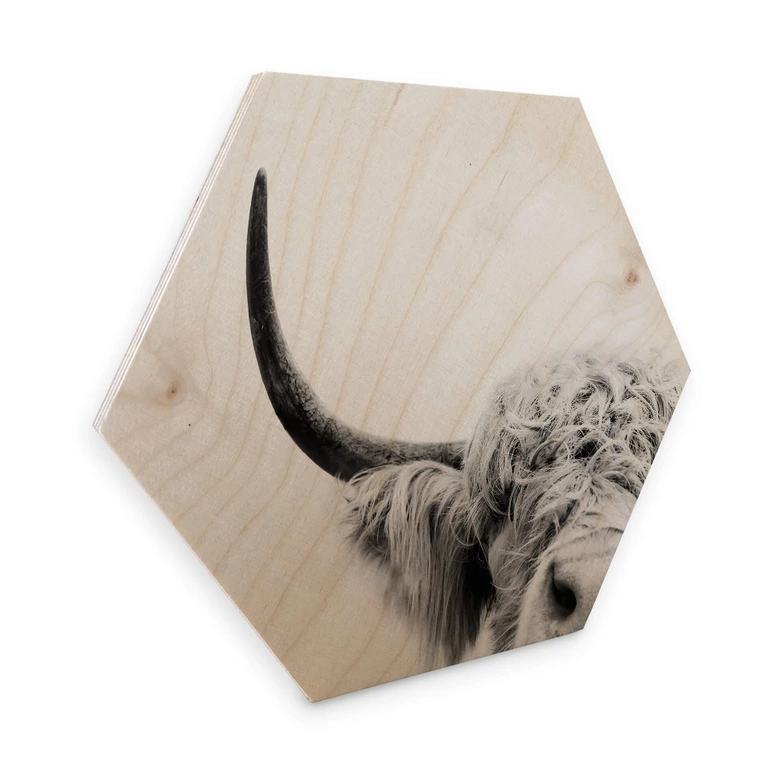 Hexagon - Holz Birke-Furnier Sisi & Seb - Bulle 