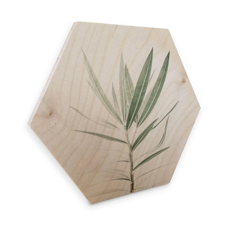 Hexagon - Holz Birke-Furnier Sisi & Seb - Oleander 