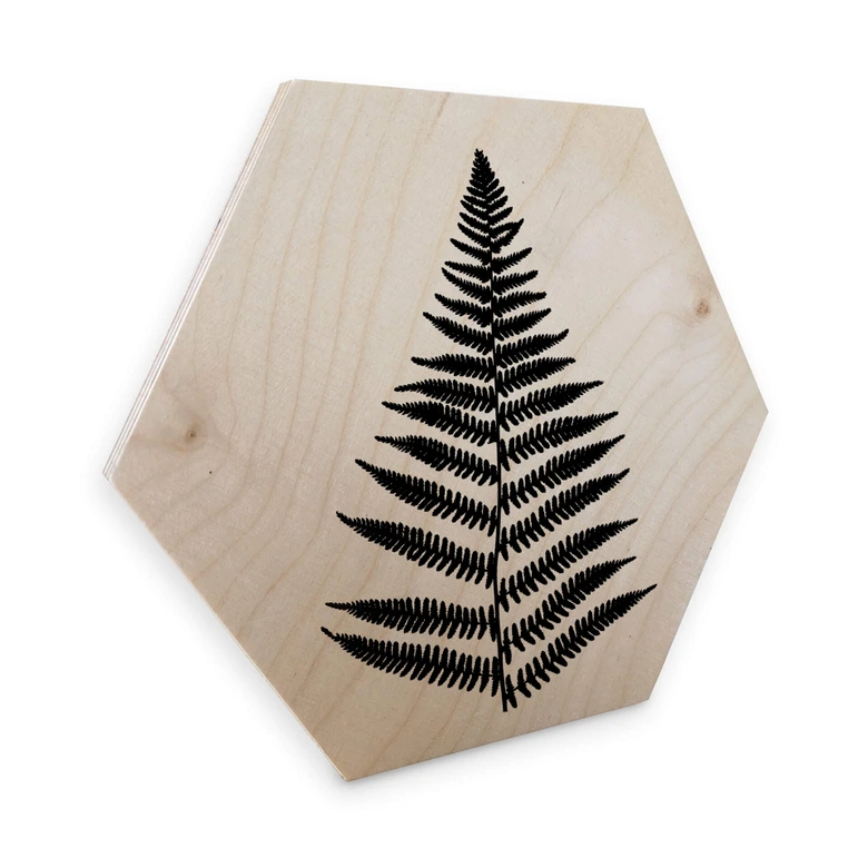 Hexagon - Holz Birke-Furnier - Farn 