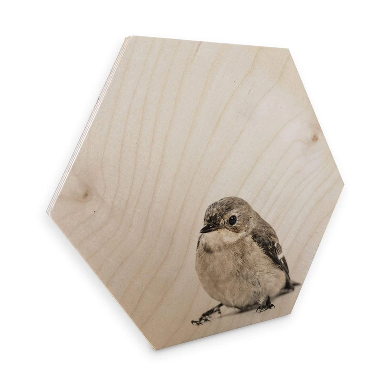 Hexagon - Holz Birke-Furnier - Kleiner Spatz 
