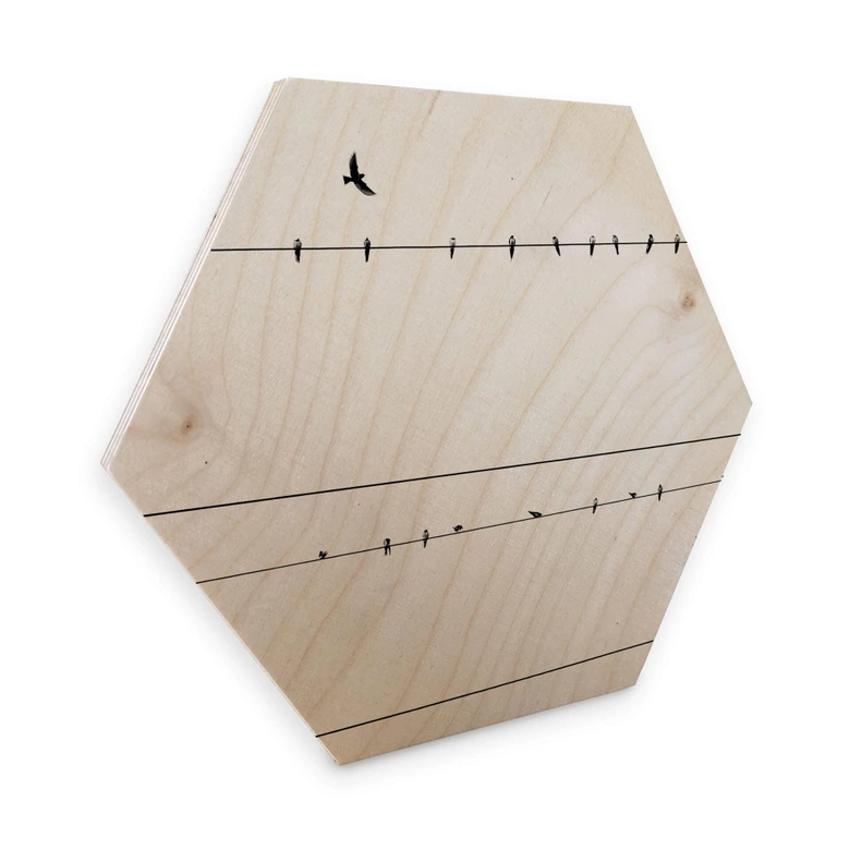 Hexagon - Holz Birke-Furnier - Stromleitung 