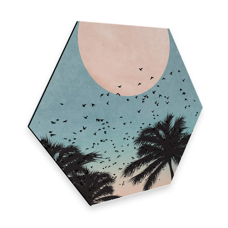 Hexagon - Alu-Dibond - Kubistika - Sonnenuntergang 