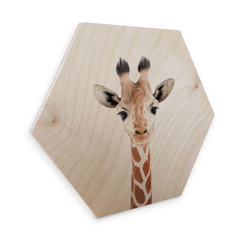 Hexagon - Holz Sisi & Seb - Baby Giraffe 