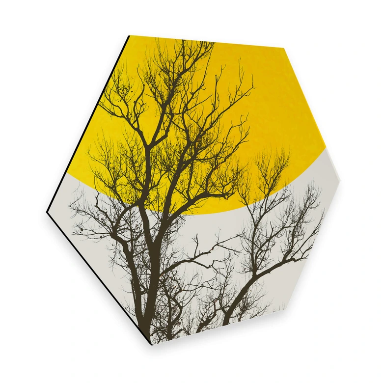 Hexagon - Alu-Dibond - Kubistika - Efterårsminder 
