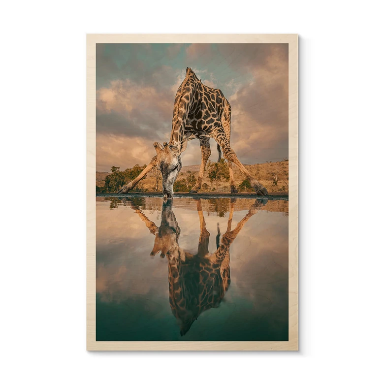 Holzbild Reflexion einer Giraffe in der Wildnis - Amtmann 