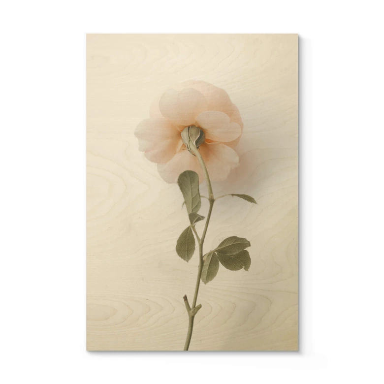 Houten Poster Annie - The Rose 