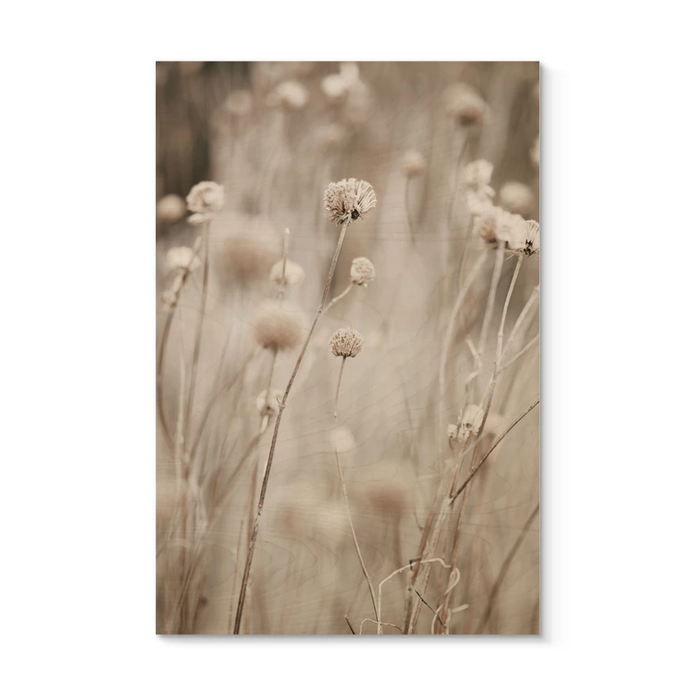 Holzbild Getrocknete Blüten in sanften Tönen - Annie 