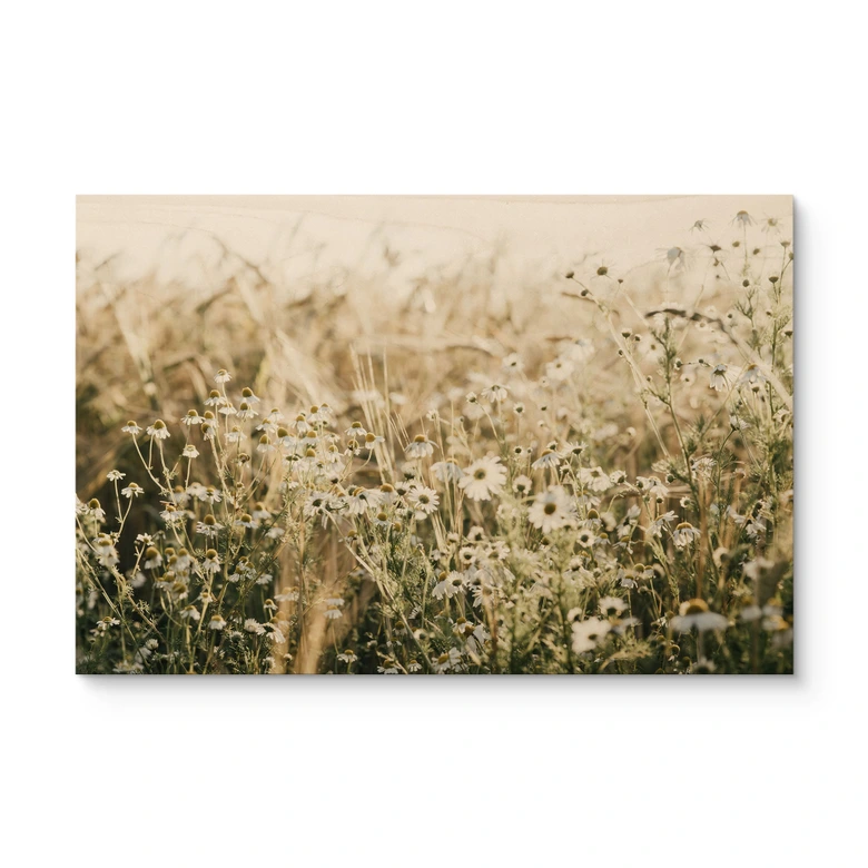 Holzbild Sommerwiese mit Kamille - Annie 