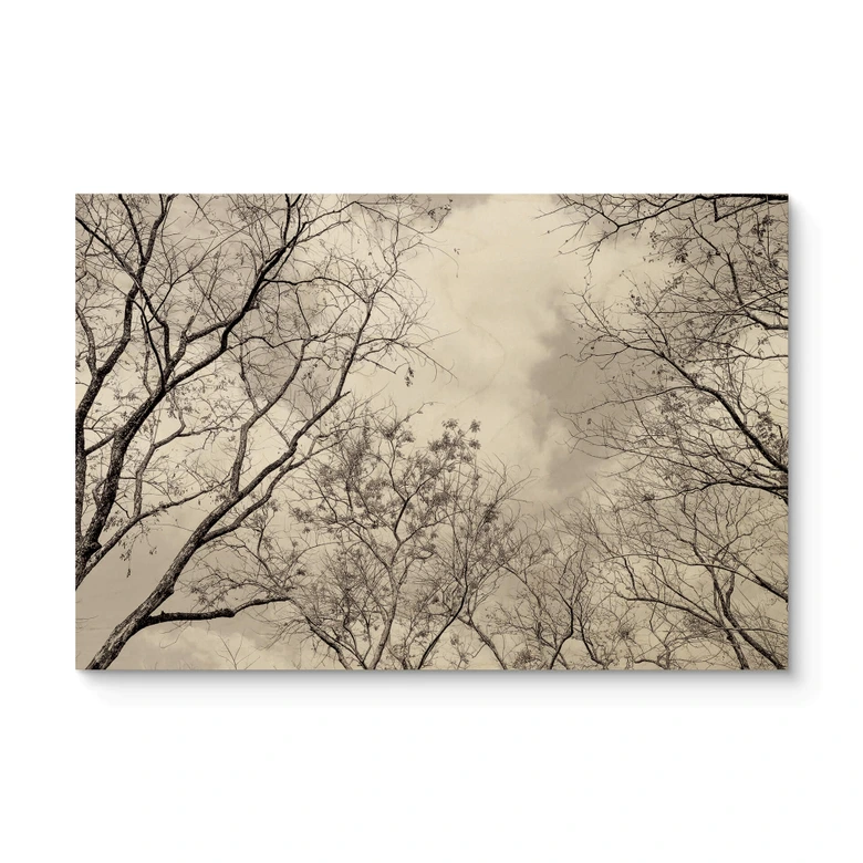 Holzbild Baumkronen im Himmel 