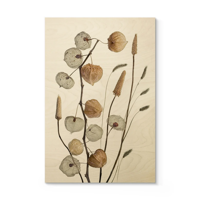Holzbild Getrocknete Lampionblumen - Disher 