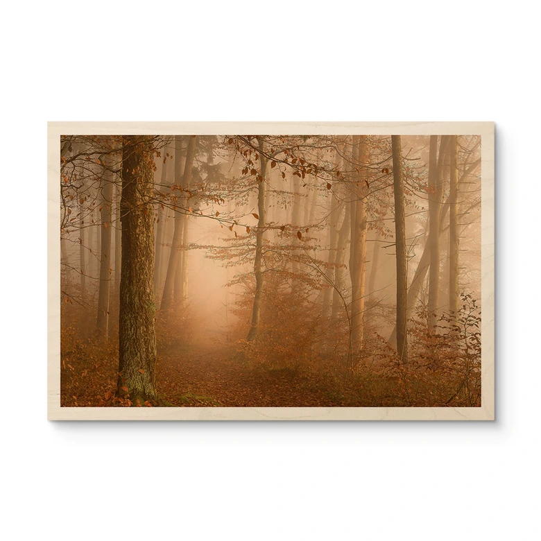 Holzbild Dunst und Licht im herbstlichen Wald - Maier 