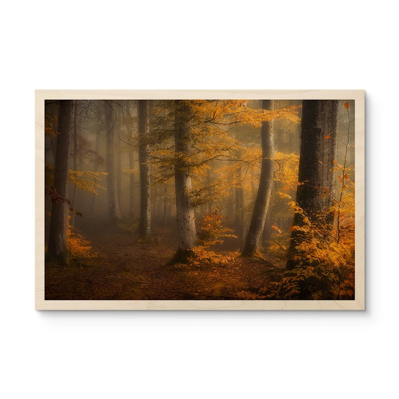 Holzbild Goldene Blätter im nebligen Wald - Maier 