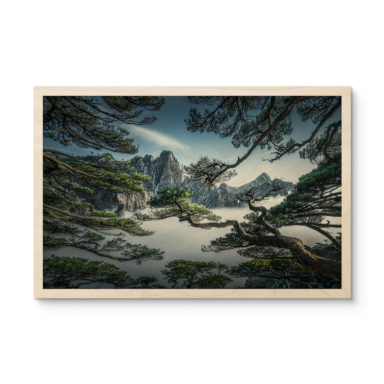 Holzbild Kiefernwald im Huang Shan Gebirge - NingYun Ye 