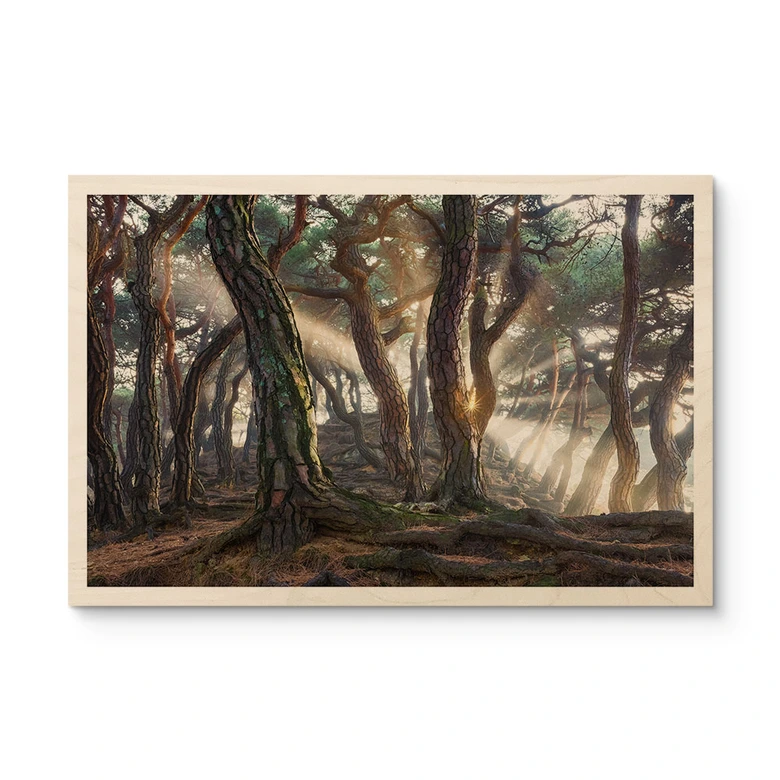 Cuadro de madera pinar sagrado - Ryu 