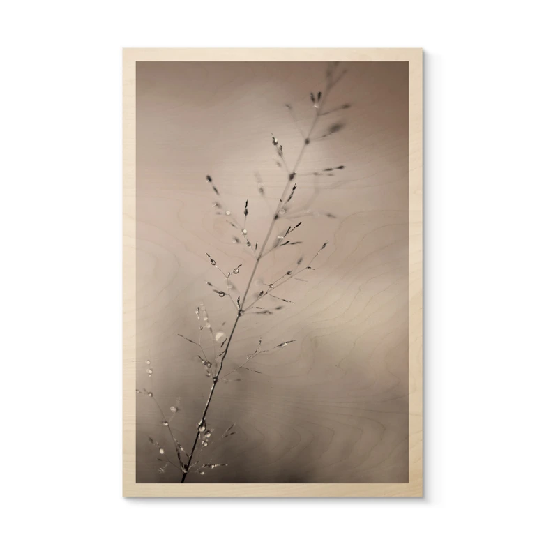 Holzbild Grashalm mit Tautropfen - Sillen 
