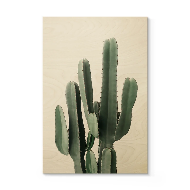 Holzbild Kaktus Pflanze - Sisi & Seb 